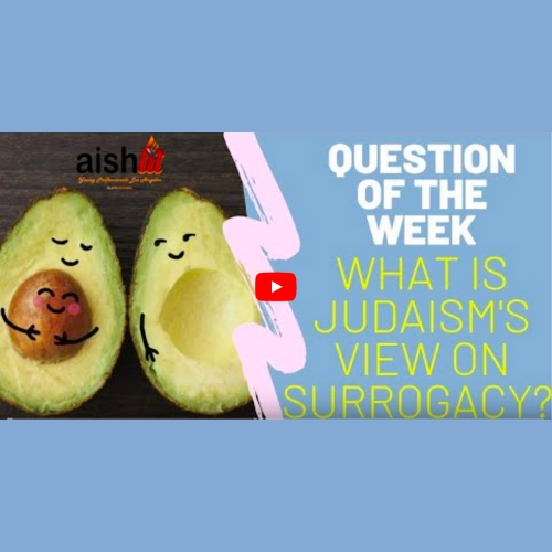 Question Of The Week EP3 | What Is The Jewish View On Surrogacy? - AishLIT